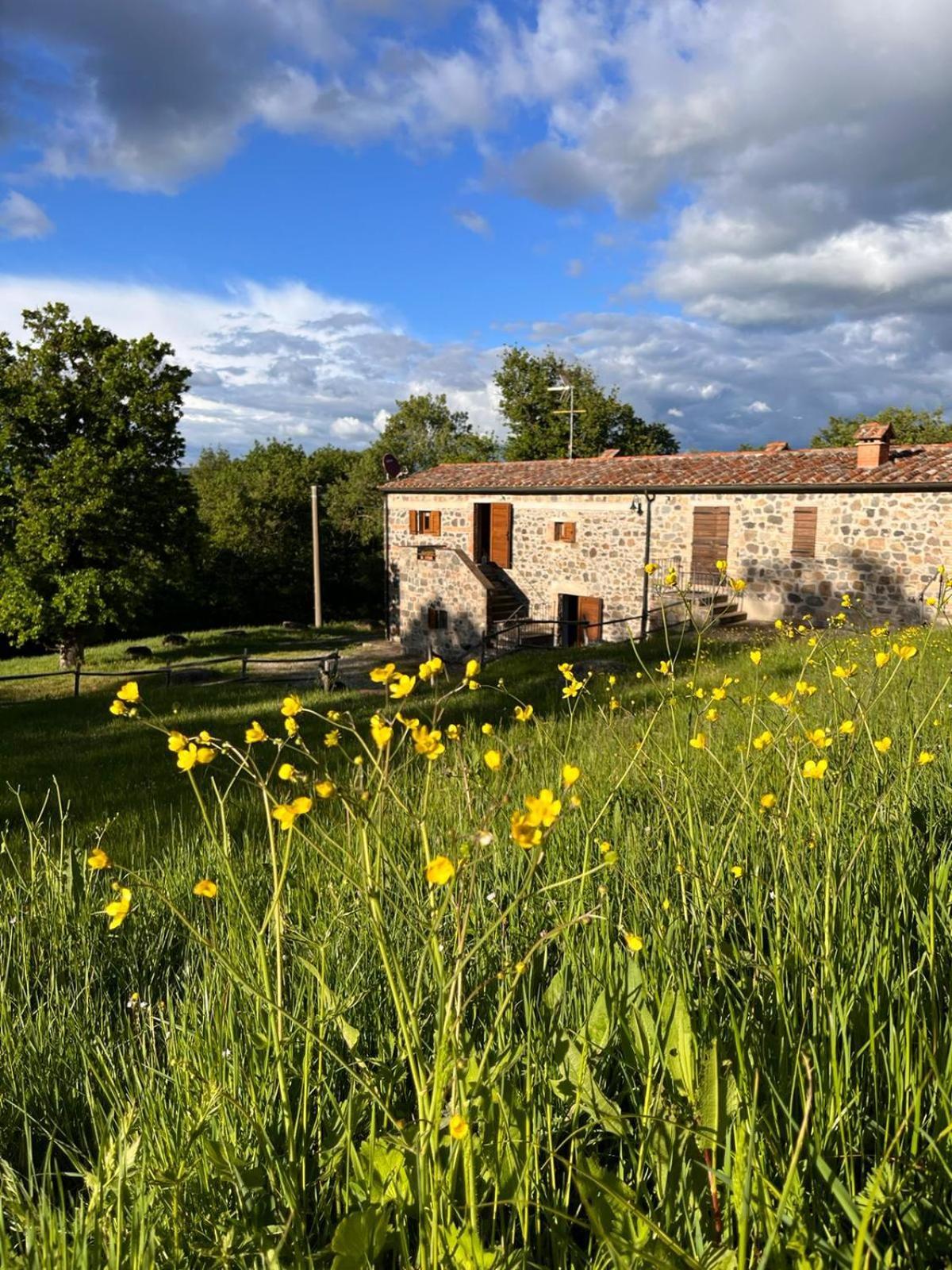 Casetta Di Ugolino Radicofani Extérieur photo